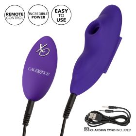 Lock N Play Remote Suction Panty Teaser
