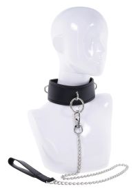 Edge Collar and Leash