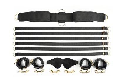 Under the Bed Restraint Set